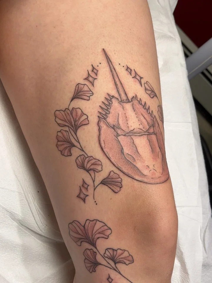 Horseshoe crab and jelly fish 🪼🌊
Lines are healed, shading fresh.
Booking for March &amp; April 🌸
-
-
-
#blackandgreytattoo #finelinetattoo #seacreatures #buffalotattooshop #huntsmantattposhop