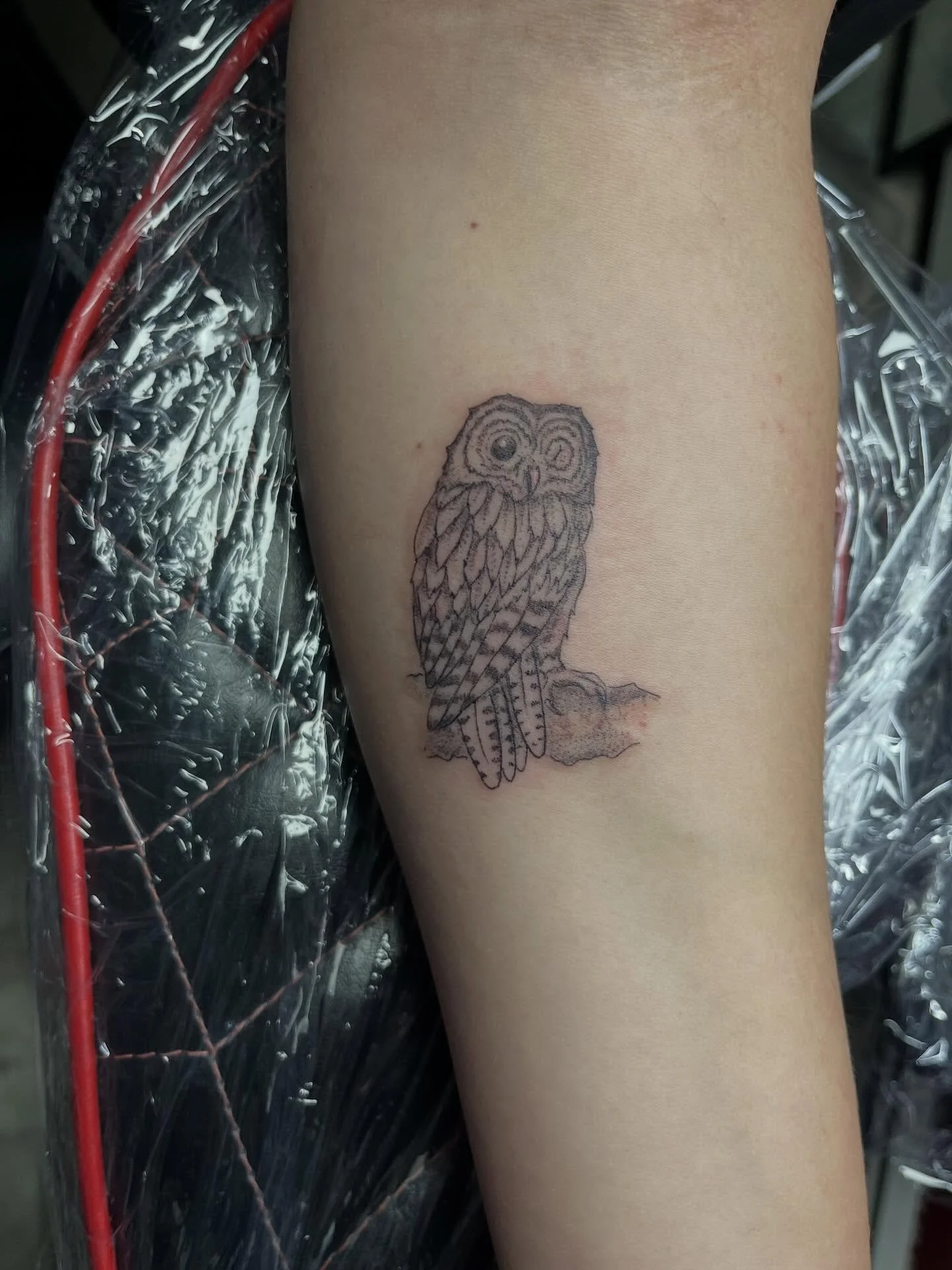 🐦 🆙 
Some lil bird tattoos ✨
Booking for April &amp; May 🌞
-
-
-
#birdtattoo #nature #buffalotattooartist #birdup #cutetattoos