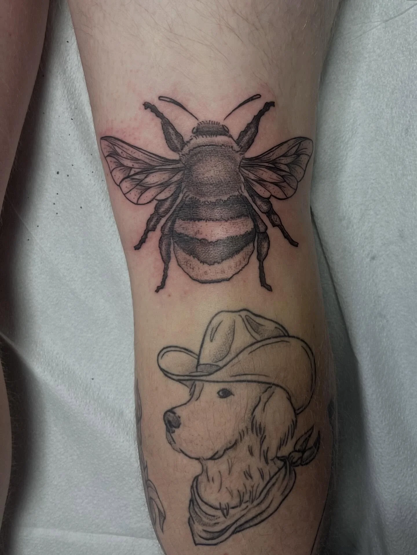 🐝🐝🐝
Bumble bee in the knee ditch 😮&zwj;💨
Healed golden retriever below!
Booking Summer 2026 ☀️ 
-
-
#beetattoo #buffalove #716 #nature #buffalotattooartist