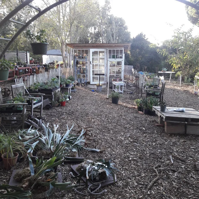 VFG Gallery — Valmonte Farm & Garden