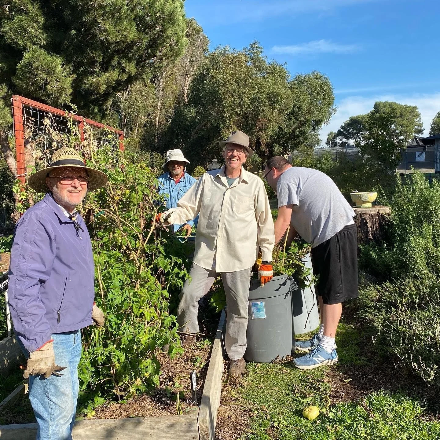 VFG Gallery — Valmonte Farm & Garden
