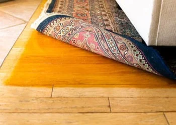 How to Reduce Fading in your Home/Home Office 