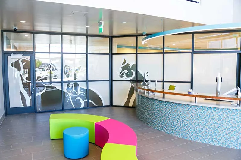 5 Easy Ways to Personalize Your New Office Space