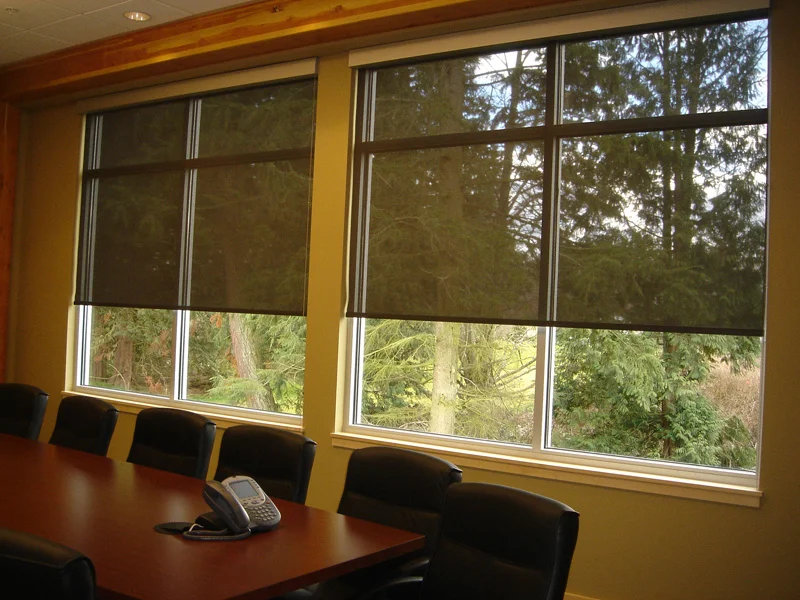 roller-shades-Reject-Ultraviolet-Rays.jpg