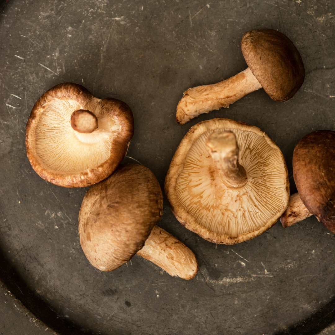 Does Going Organic Make Sense for Small Scale Food Processors? 