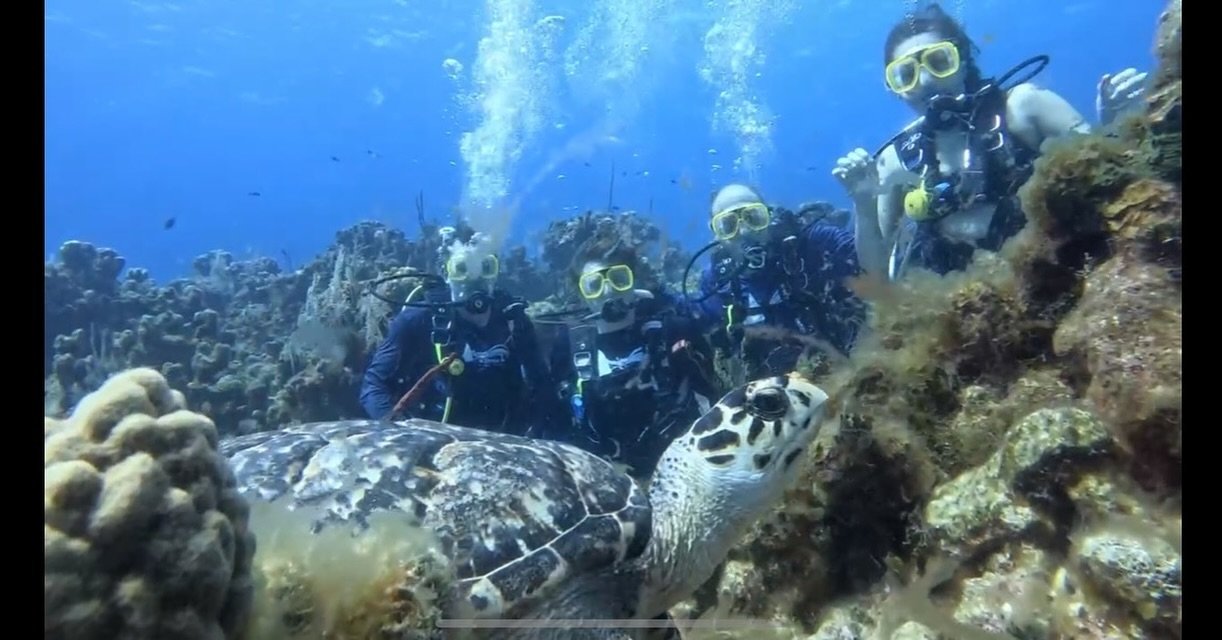 Take only 📸 
Leave only 🫧 
#scuba #scubadiving #diving #grandcayman