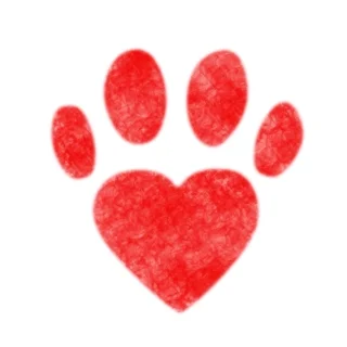 Your Child Shows Respect for Animals