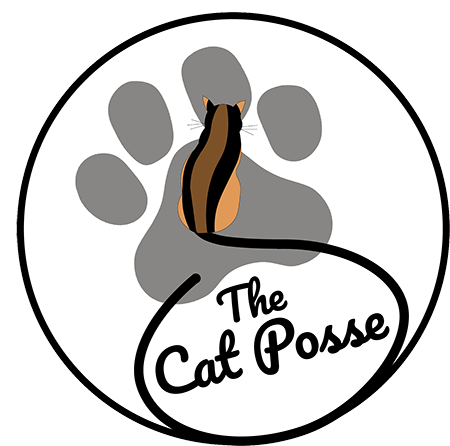 The Cat Posse