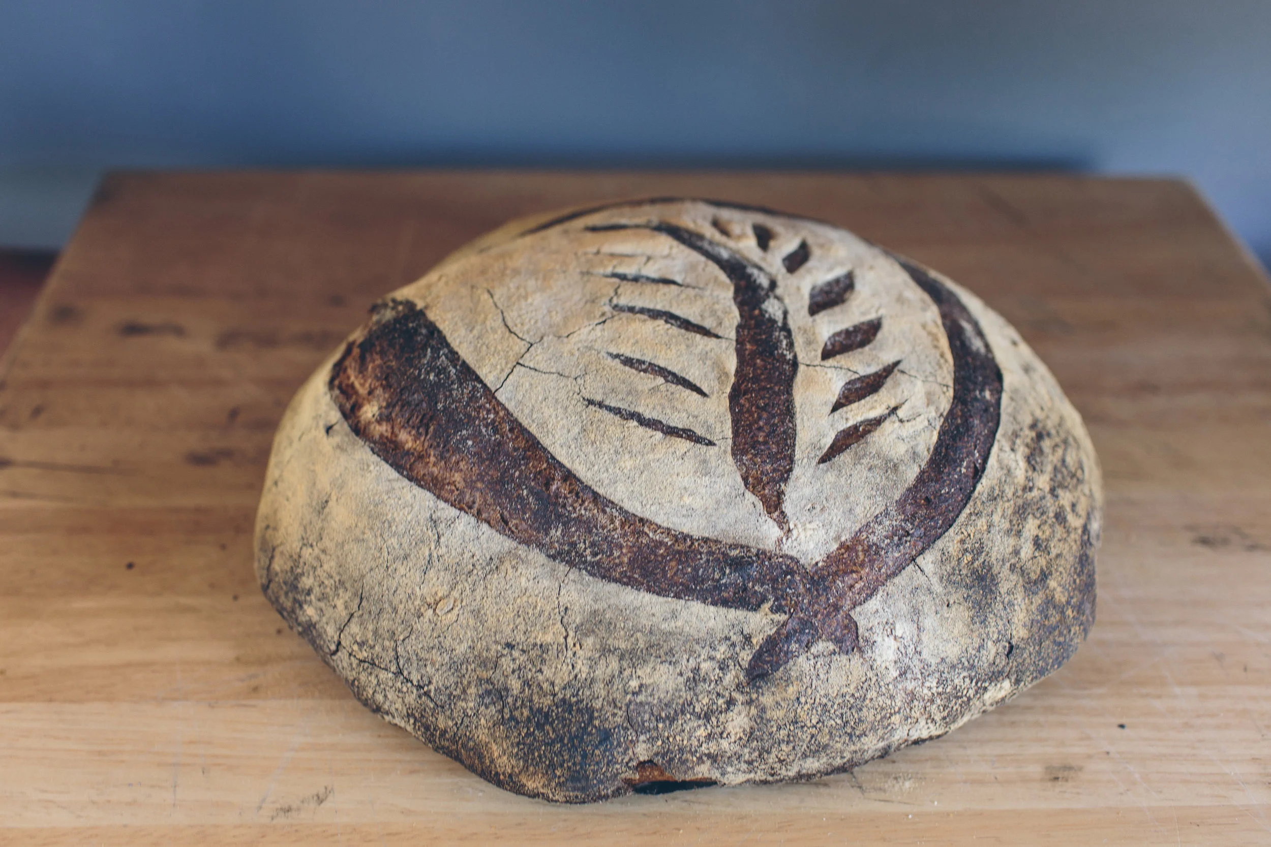 Culture — Bread Artisan Bakery