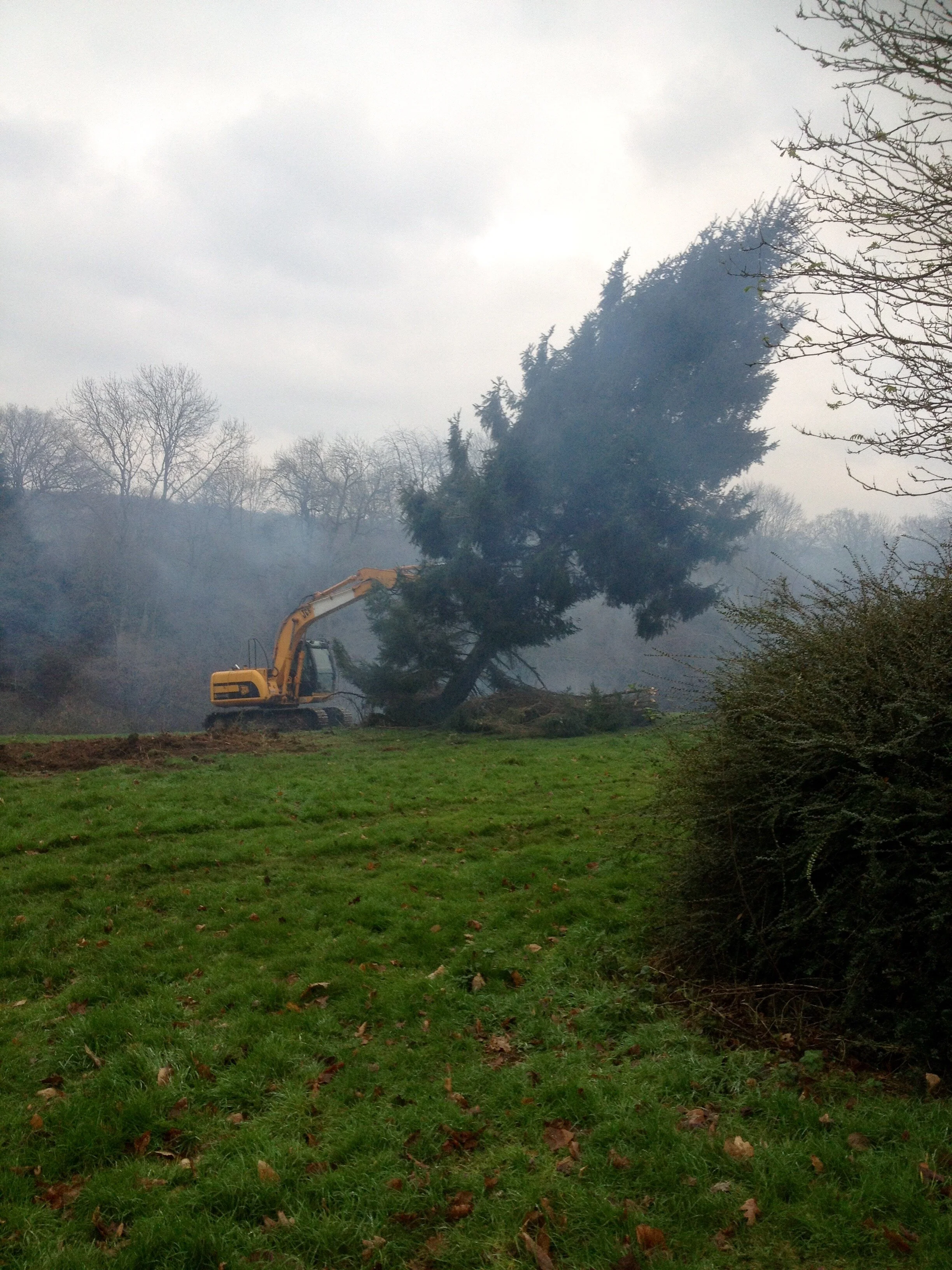 FullSizeRender 11.jpg