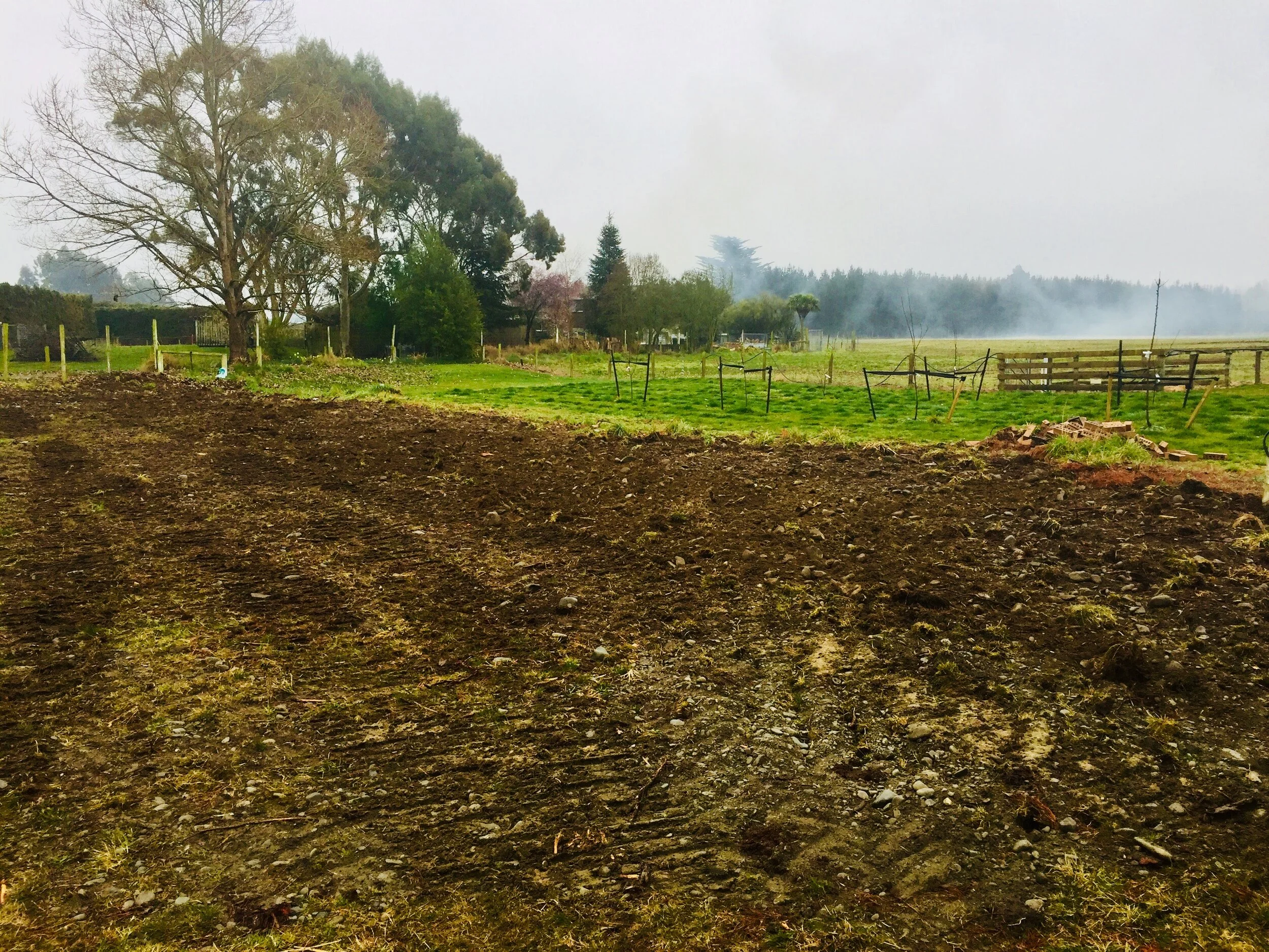 3750E512-0C5D-4E66-AD2F-8EF316DC01A2 2.jpg