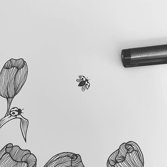 New drawings... work in progress ❤️🐞
...
#lolaandgypsycreative #handdrawn #pen #bkackink #ladybug #flowers #drawing #myhappyplace