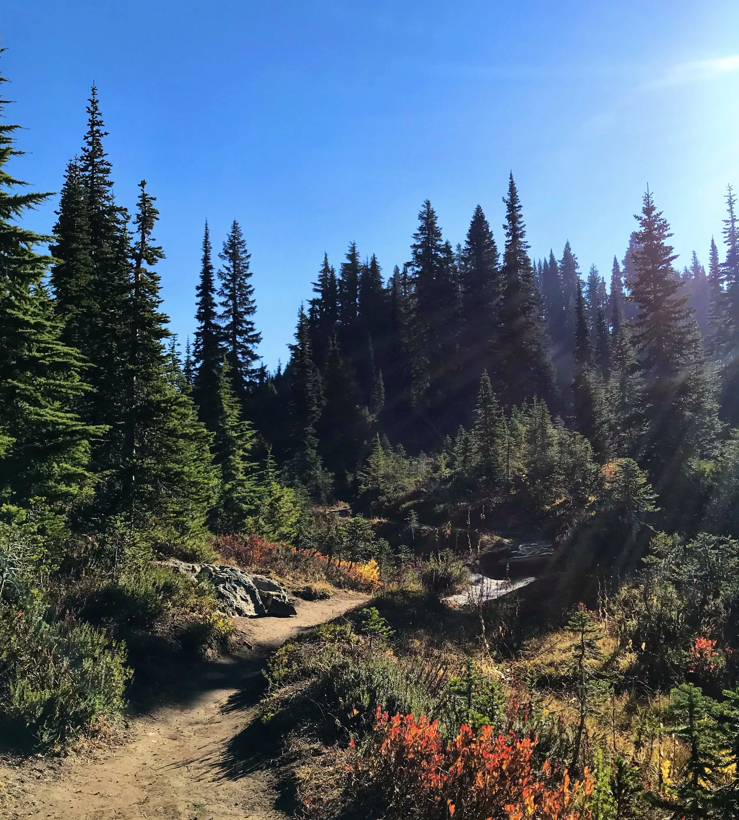 Naches Peak Loop Trail, WA state