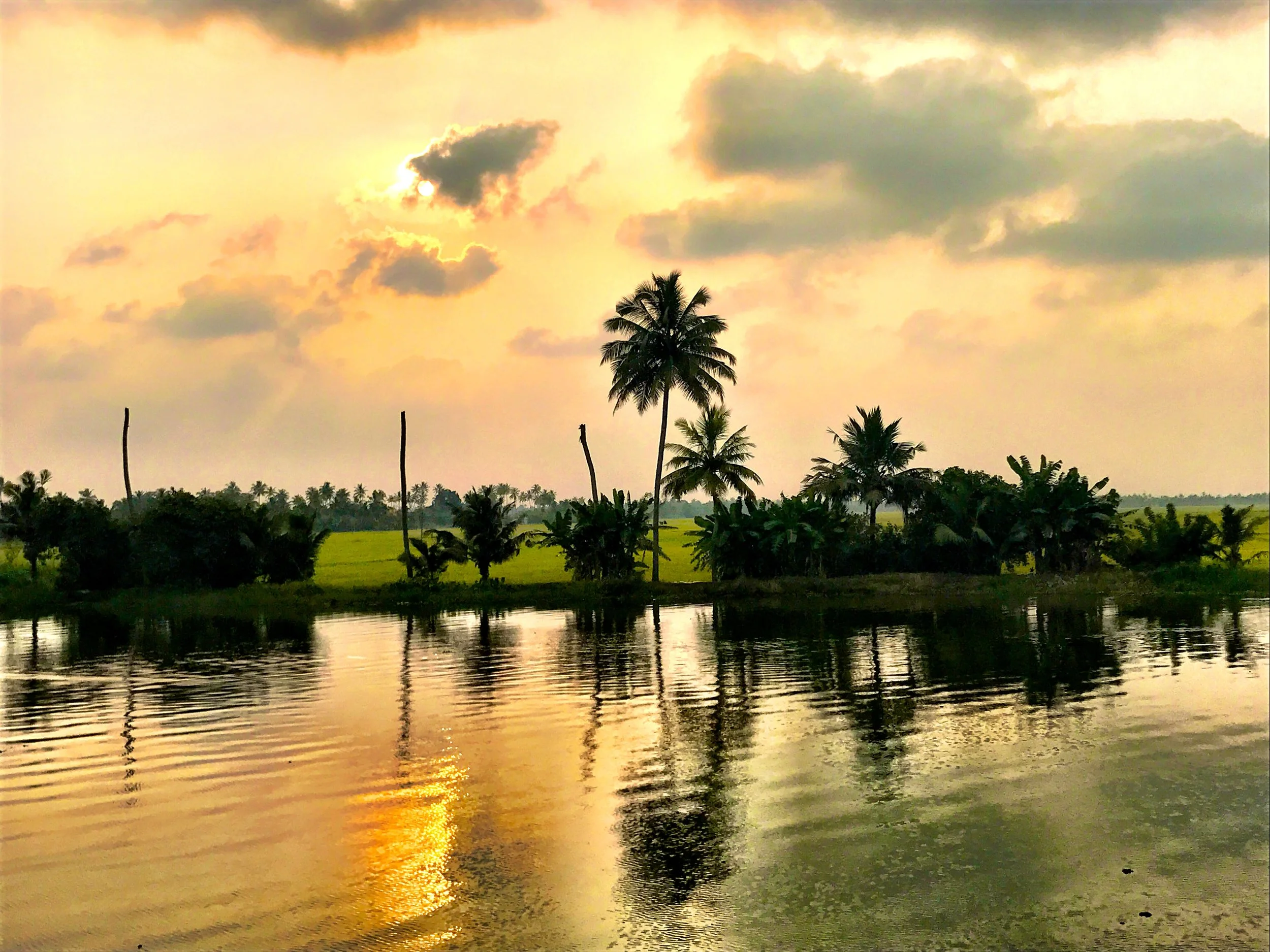 the backwaters, Alleppey, Kerala, India