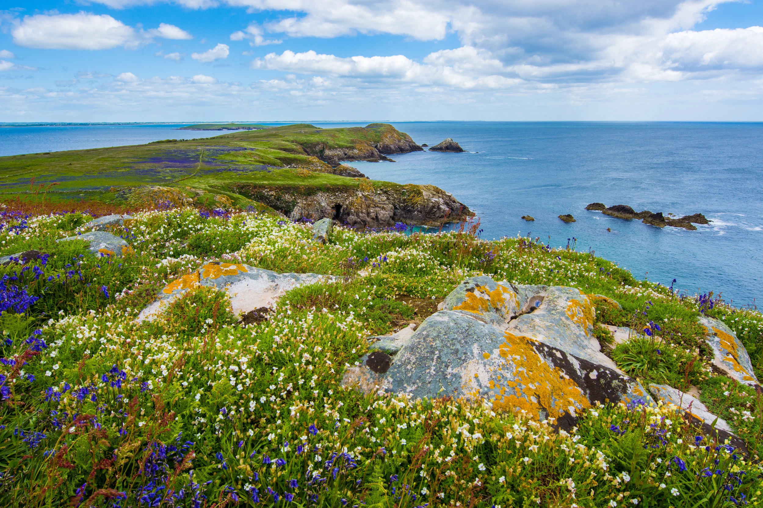 7 Picturesque Road Trips in Ireland