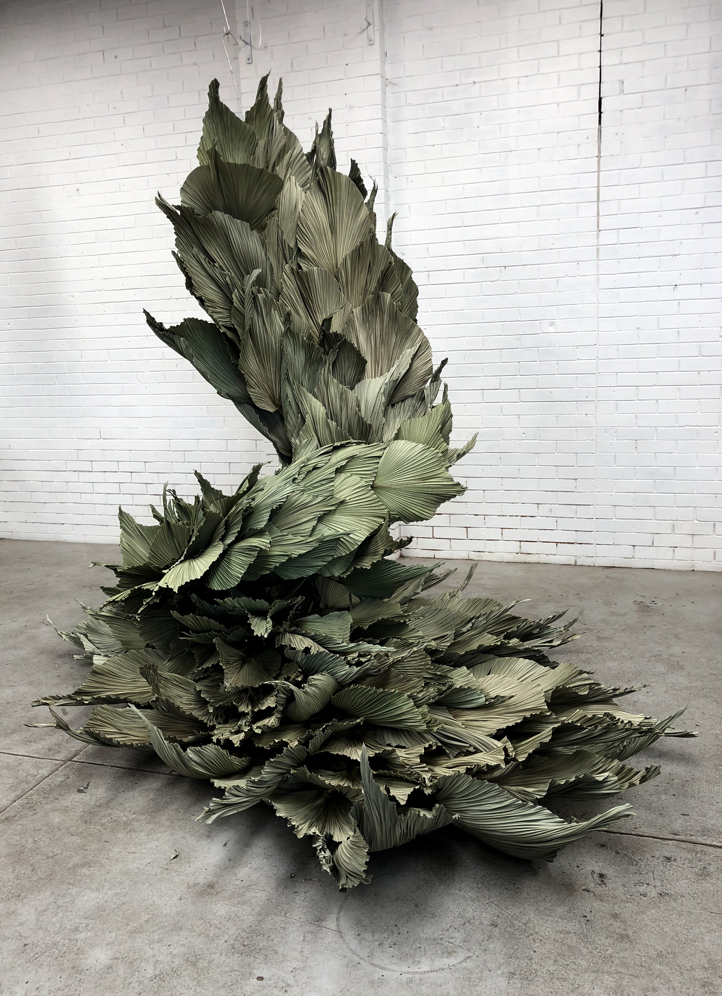 Loose Leaf_Phoenix_Melbourne_2018.jpg
