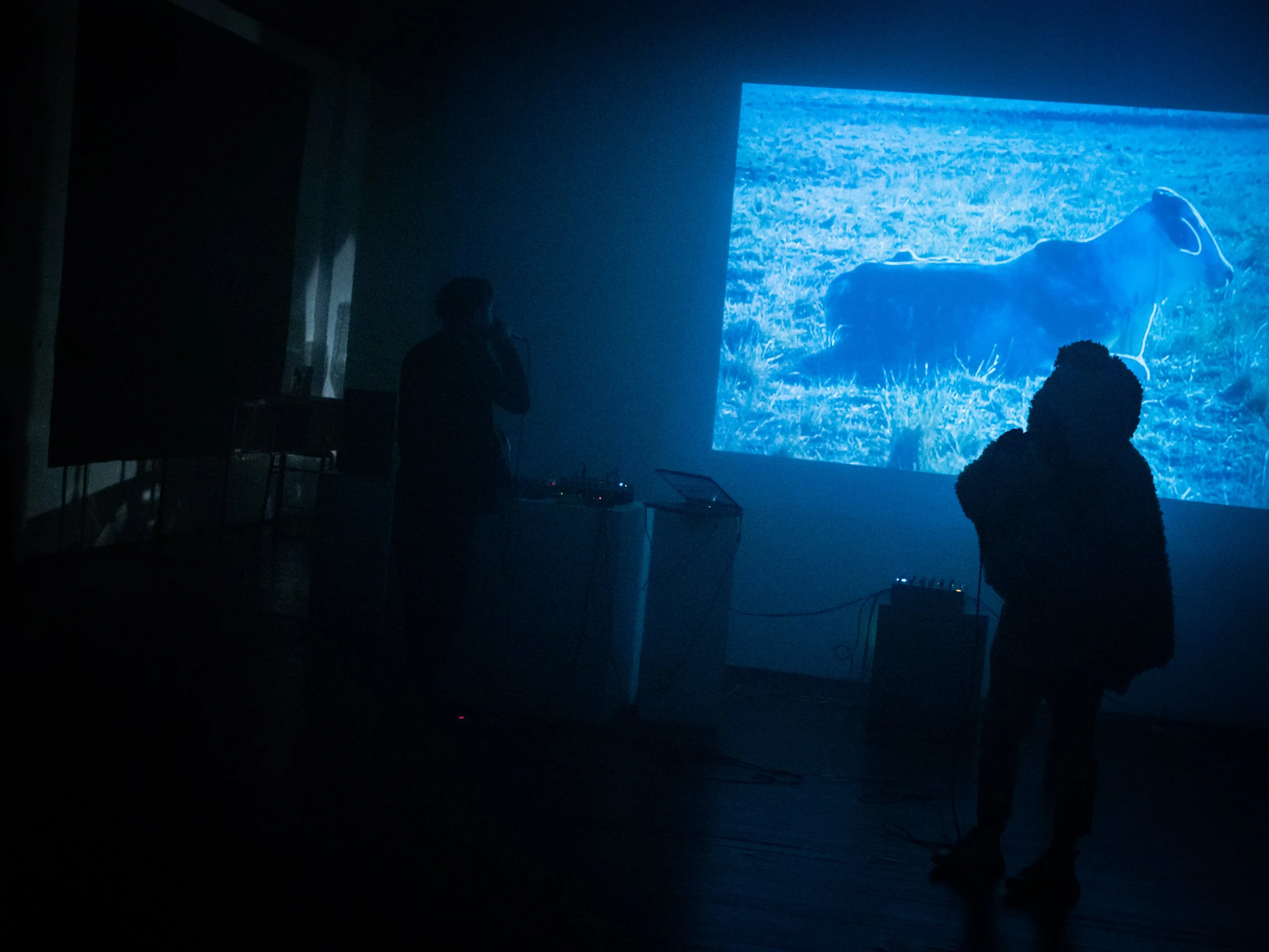 2022 Tzechar Backwoods Gallery 2022-tzechar-backwoods-gallery