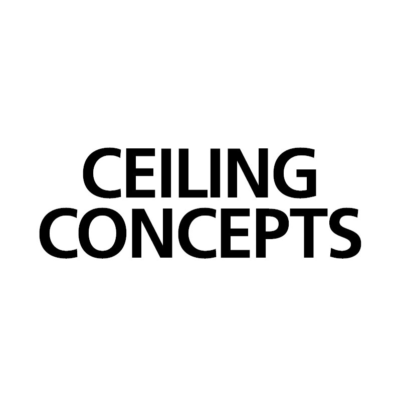 Krivic Partner - Ceiling Concepts.jpg