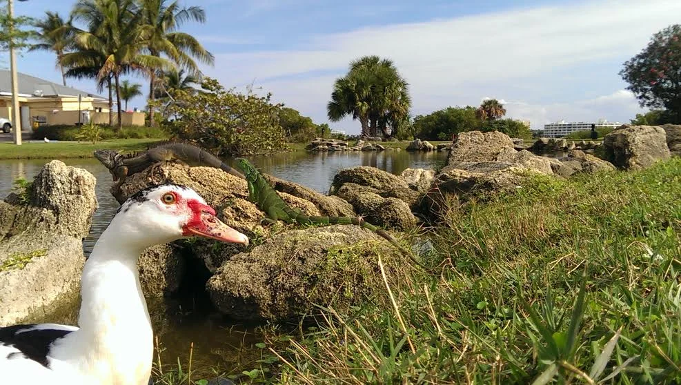 Photo: West Palm Beach, Florida