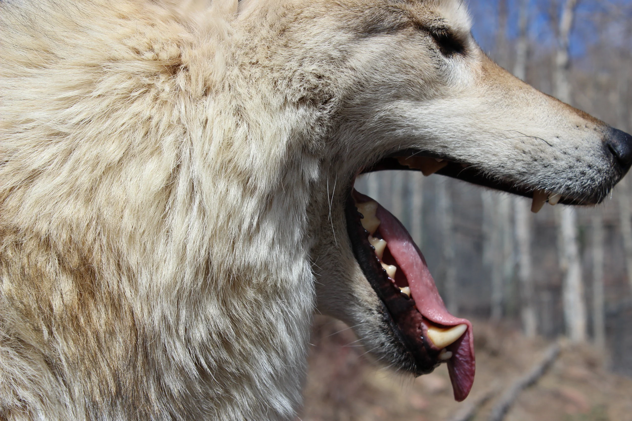 This is Not Cancun: Three Environmental Spring Break Trips That Broke The Mold