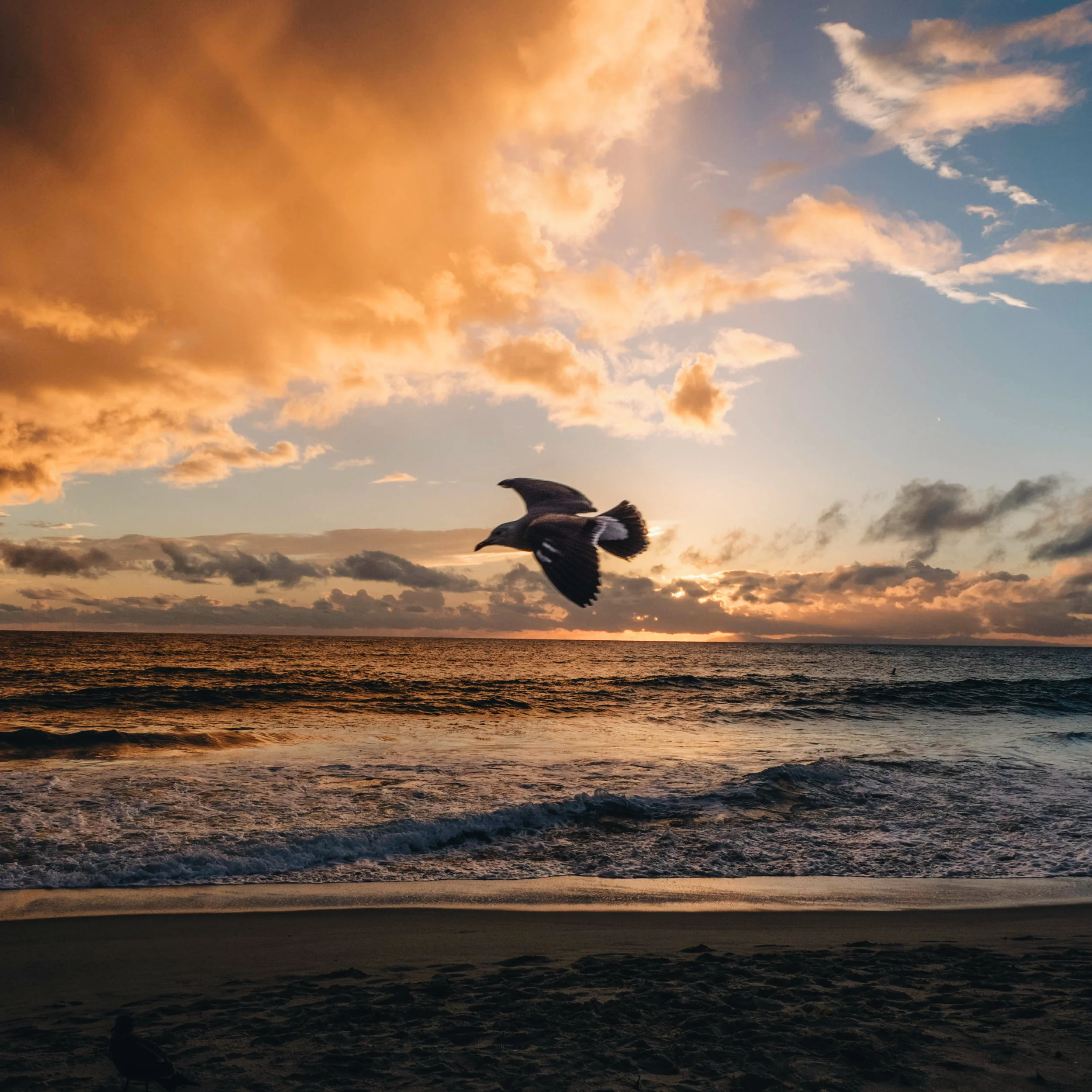 PHOTO: Laguna Beach, California
