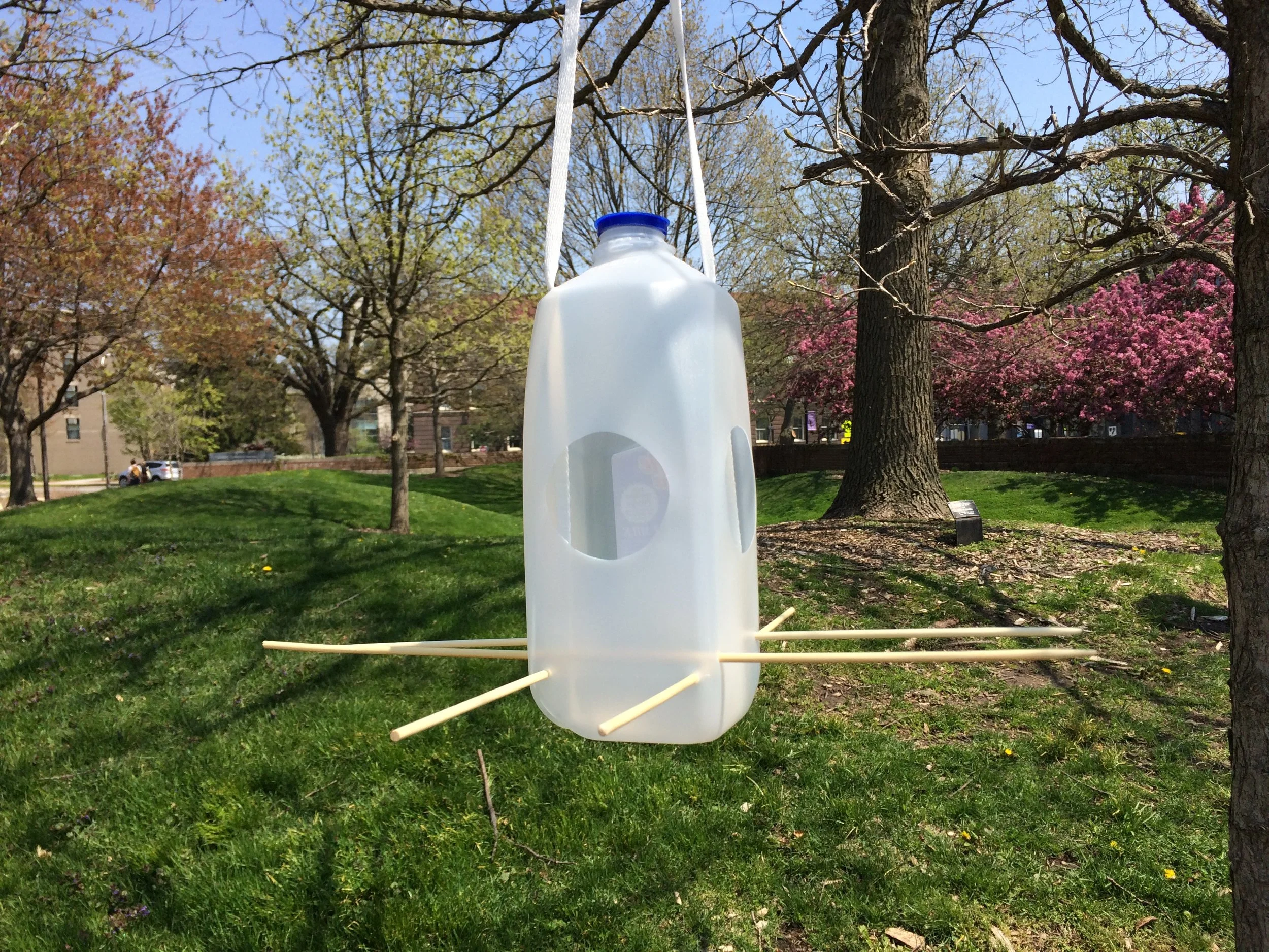 Transform Your Trash: Extreme Home Makeover - Bird House Edition