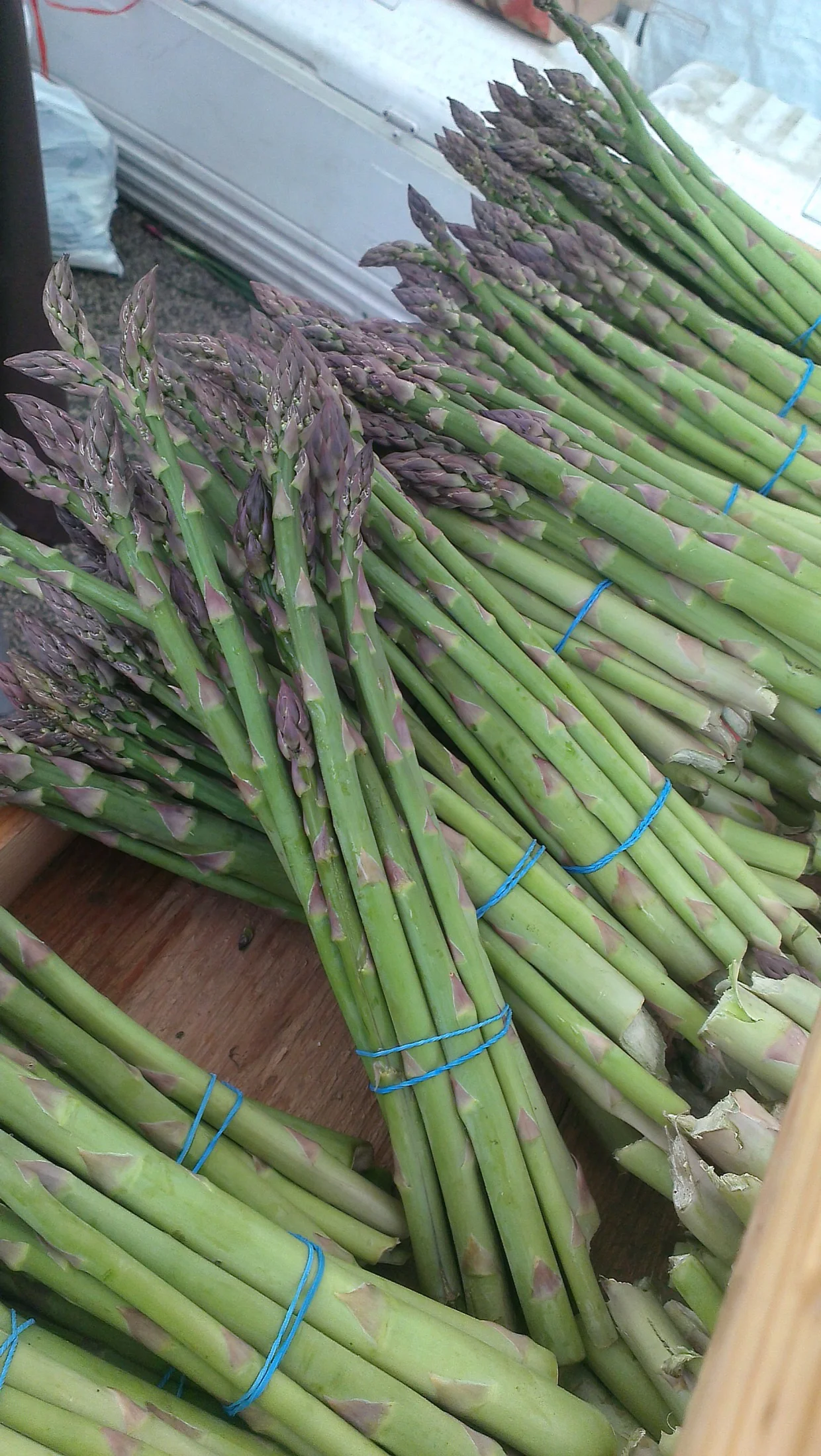 Stalk Stalkers: Asparagus season arrives at the Evanston Farmers' Market