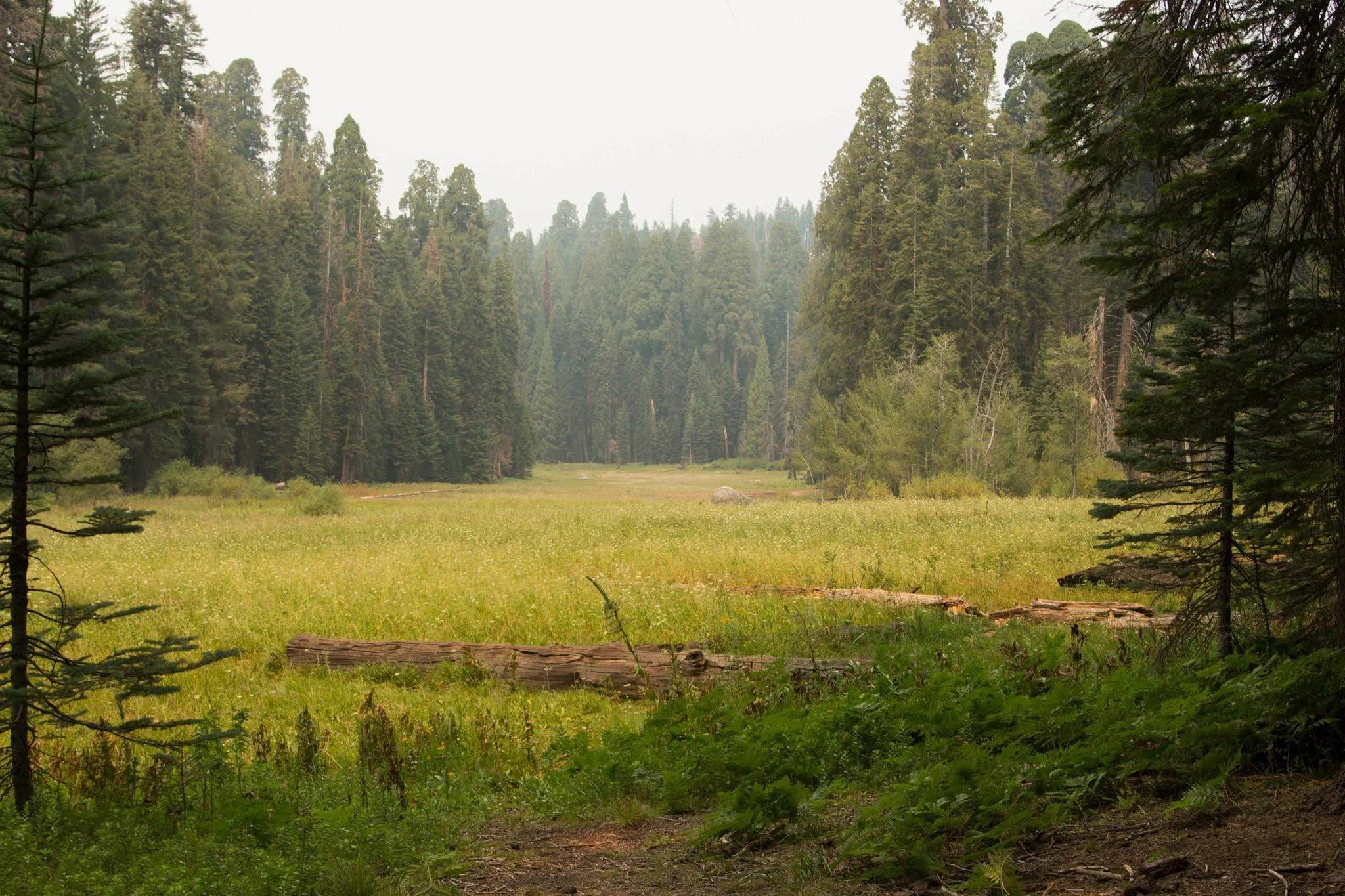 PHOTO OF THE WEEK: Sequoia National Park, CA