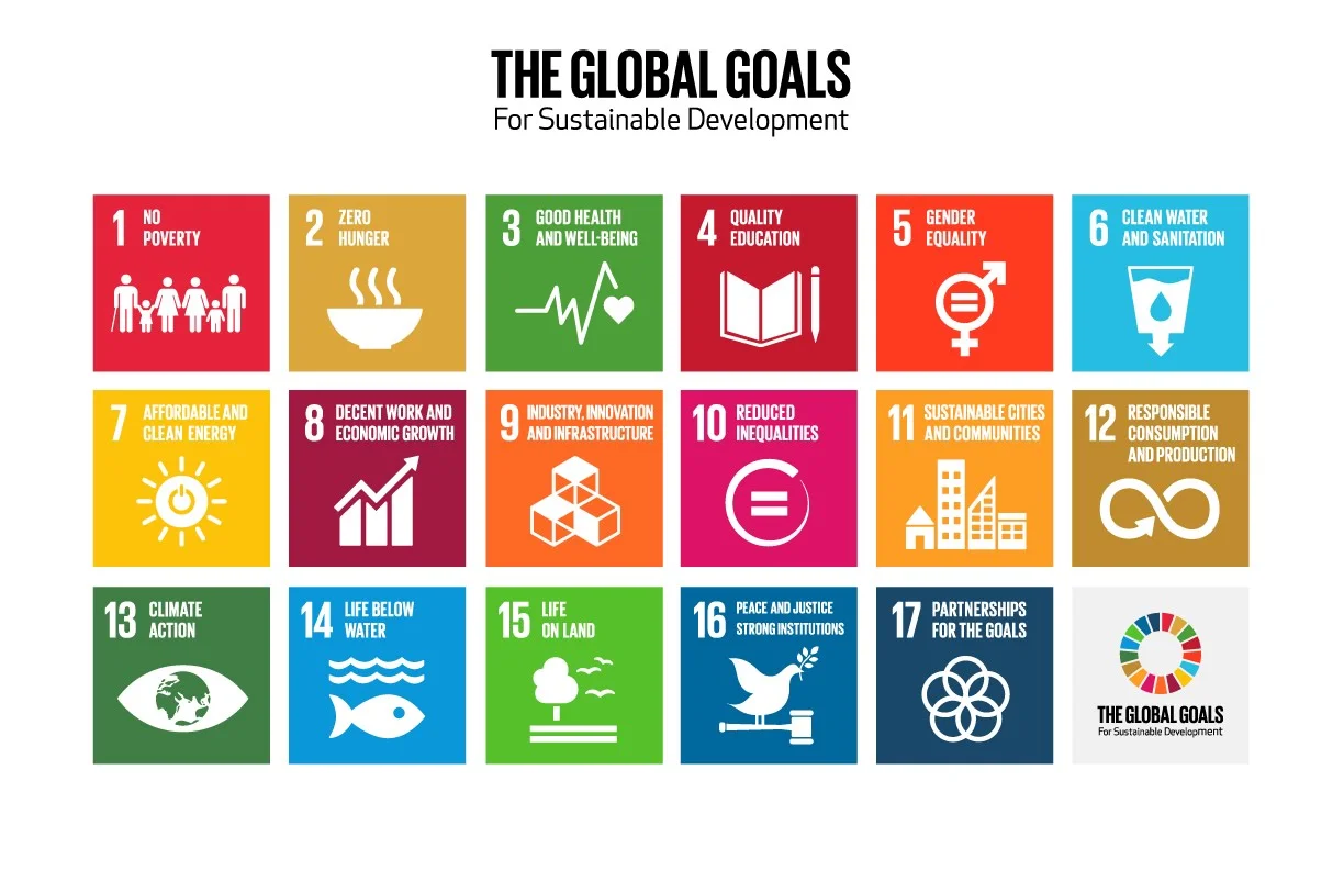 UN Sustainable Development Goals: a Wishlist for Saving the Planet