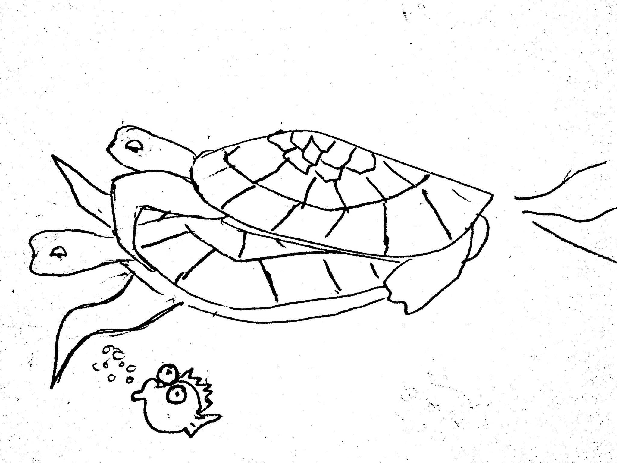 NU Sex Week: Sex on The Beach