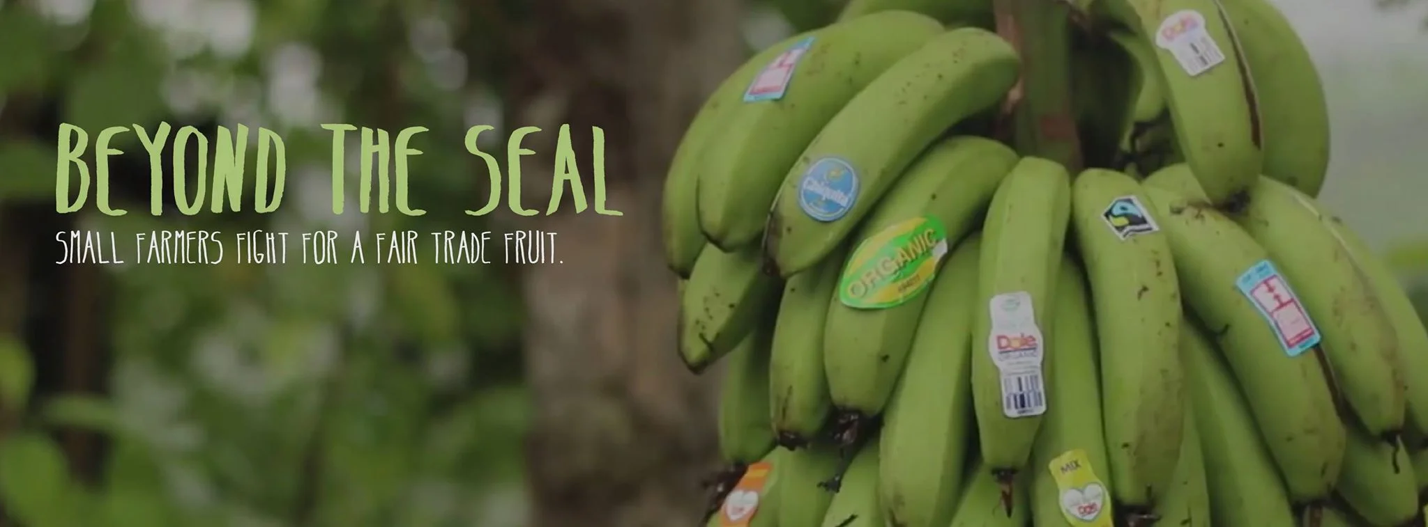 Behind the Scenes of "Beyond the Seal"