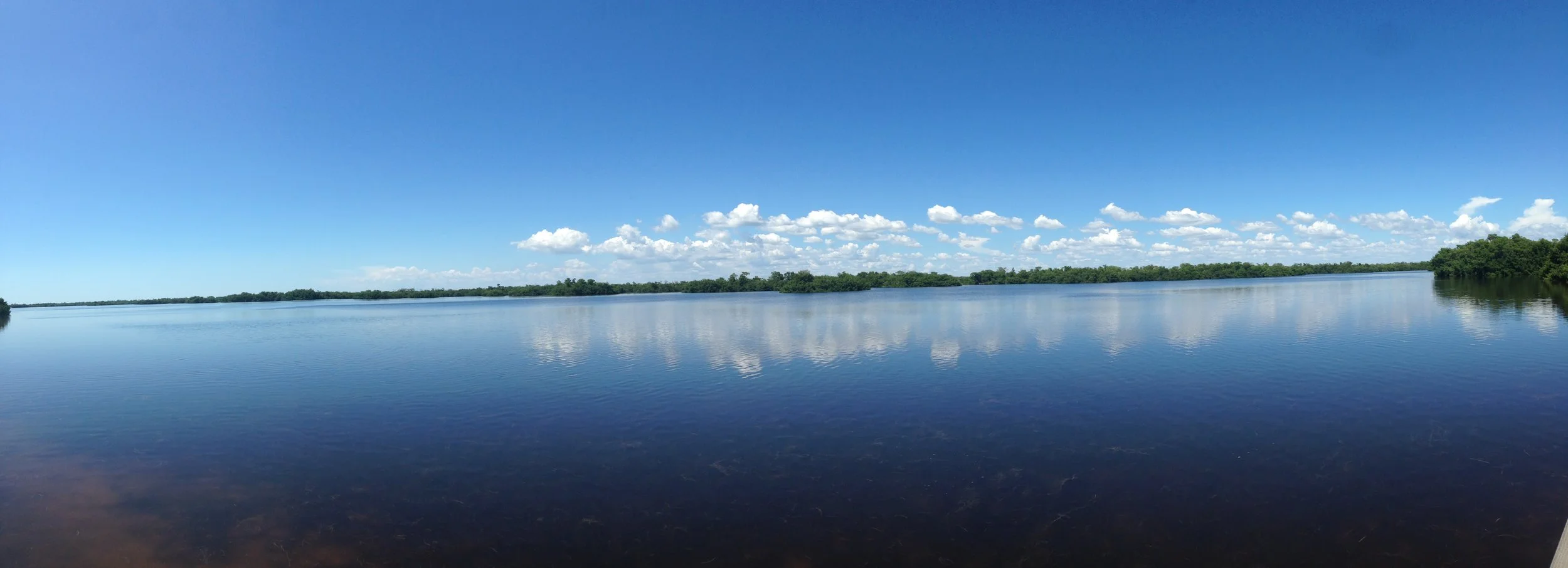 PHOTO: Sanibel, Florida