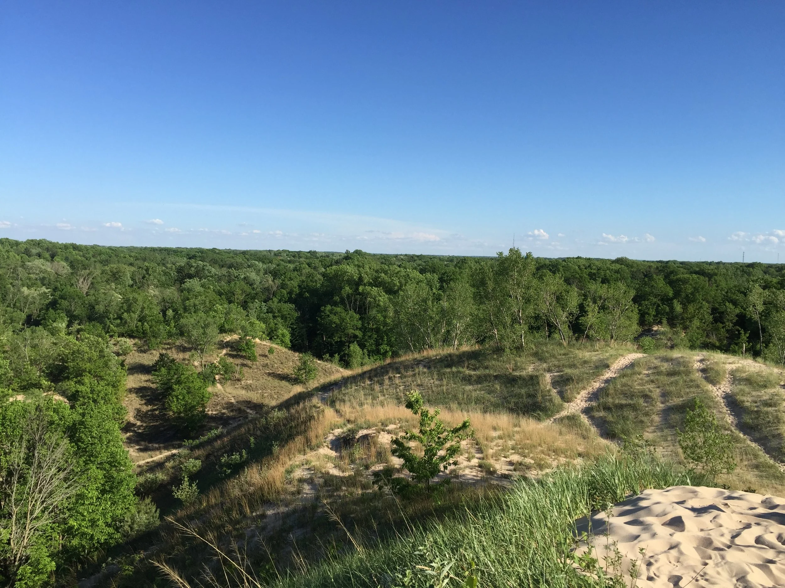 PHOTO: Warren Dunes, Michigan
