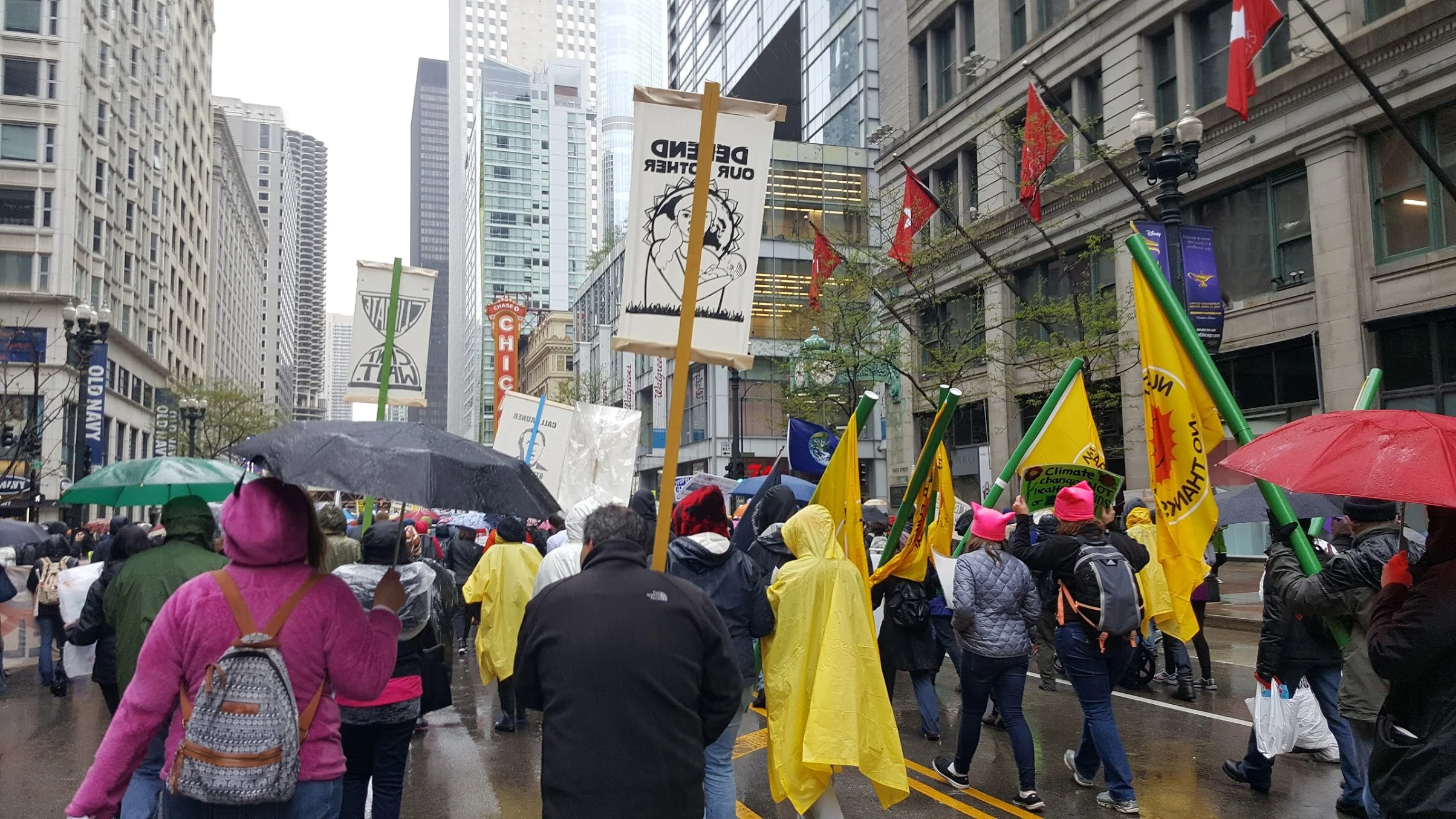 Thousands Unite in Chicago's 2017 People's Climate March