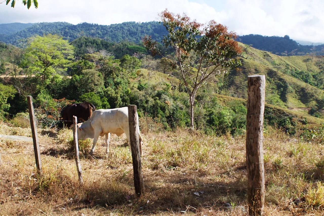 PHOTO: San Blas Islands, Panama