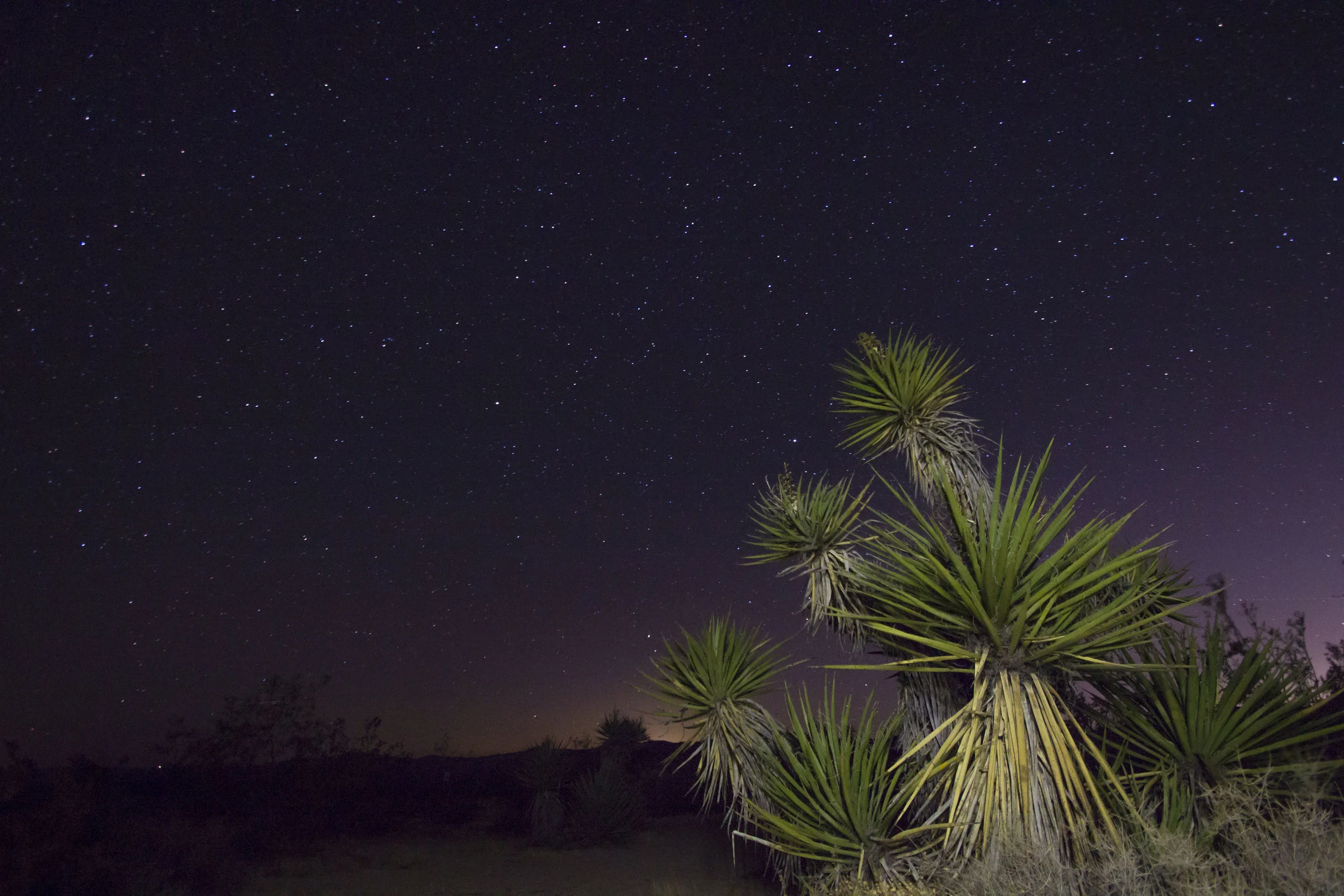 Road Tripping:  A Week, Four Cameras and a Well-Traveled Mom-Van