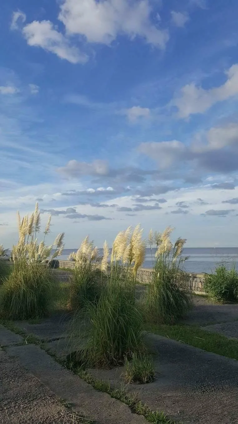 PHOTO: Buenos Aires, Argentina