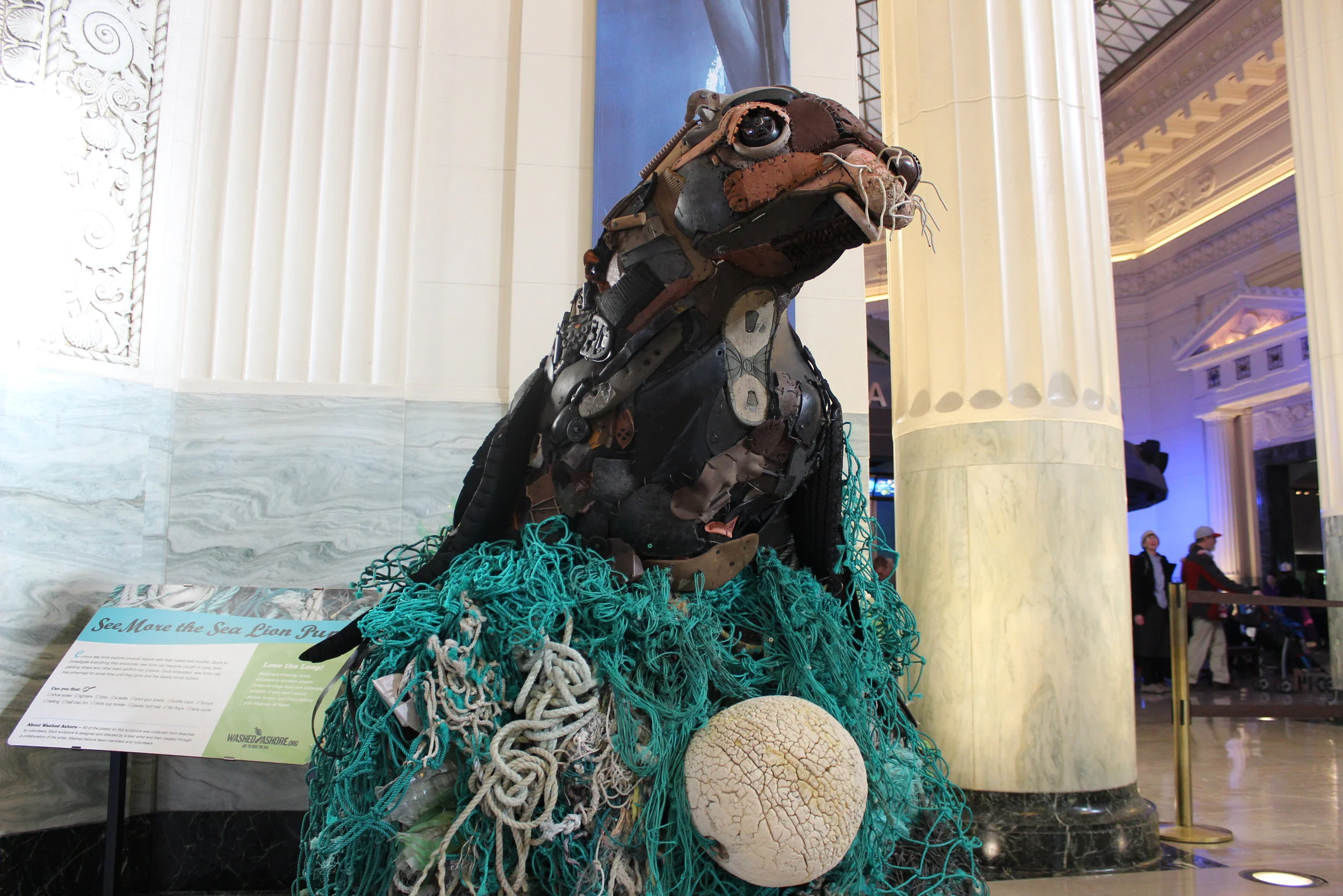 Washed Ashore at Shedd Aquarium