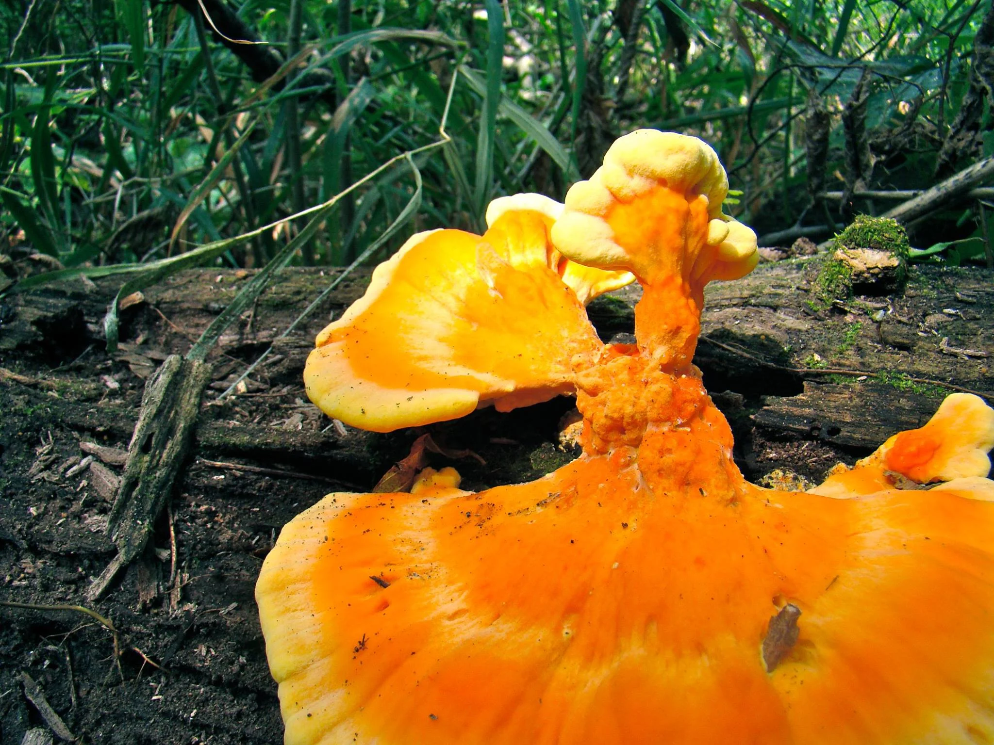 PHOTO: Elm Creek Park Reserve, MN