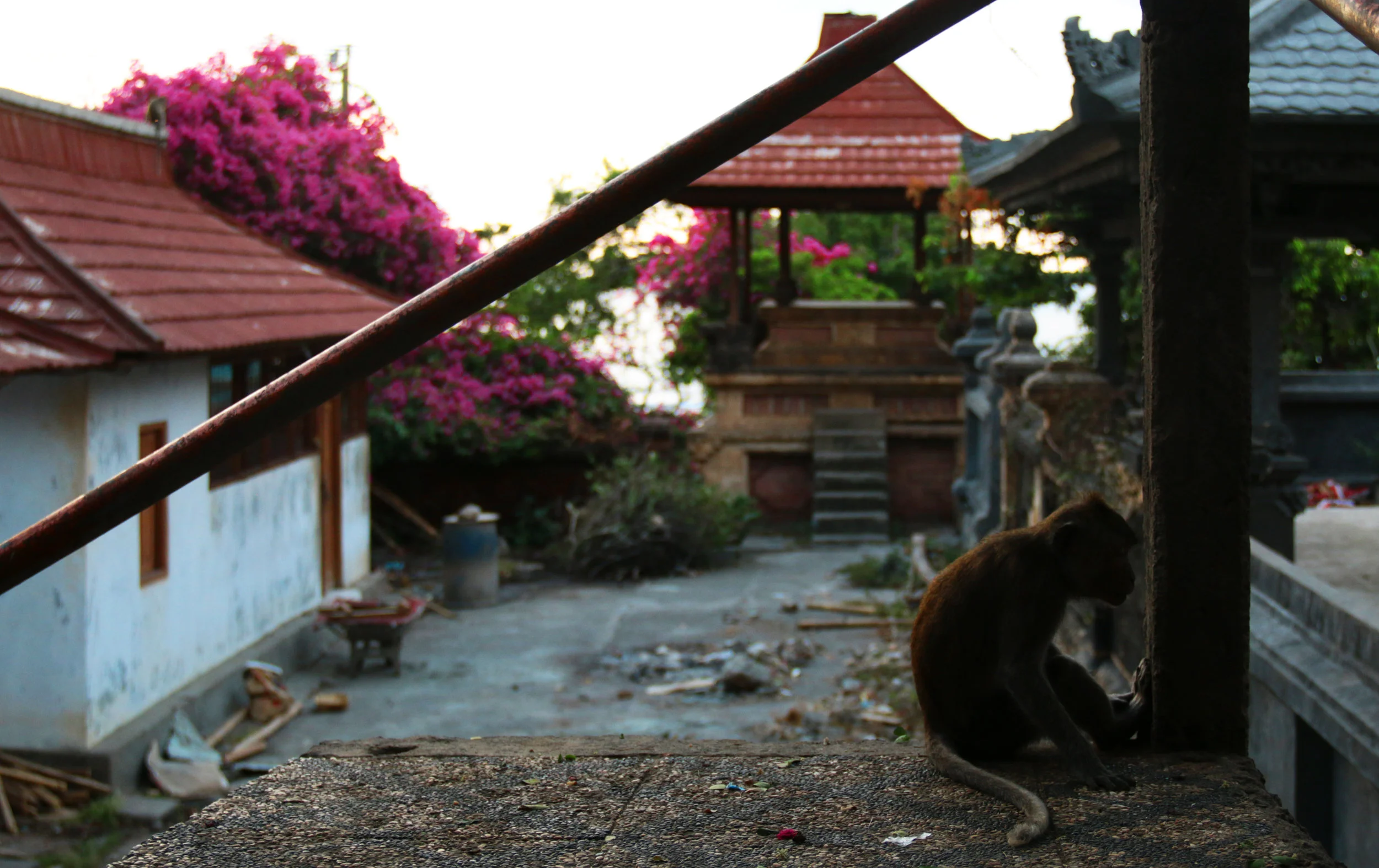 PHOTO: Ubud, Indonesia