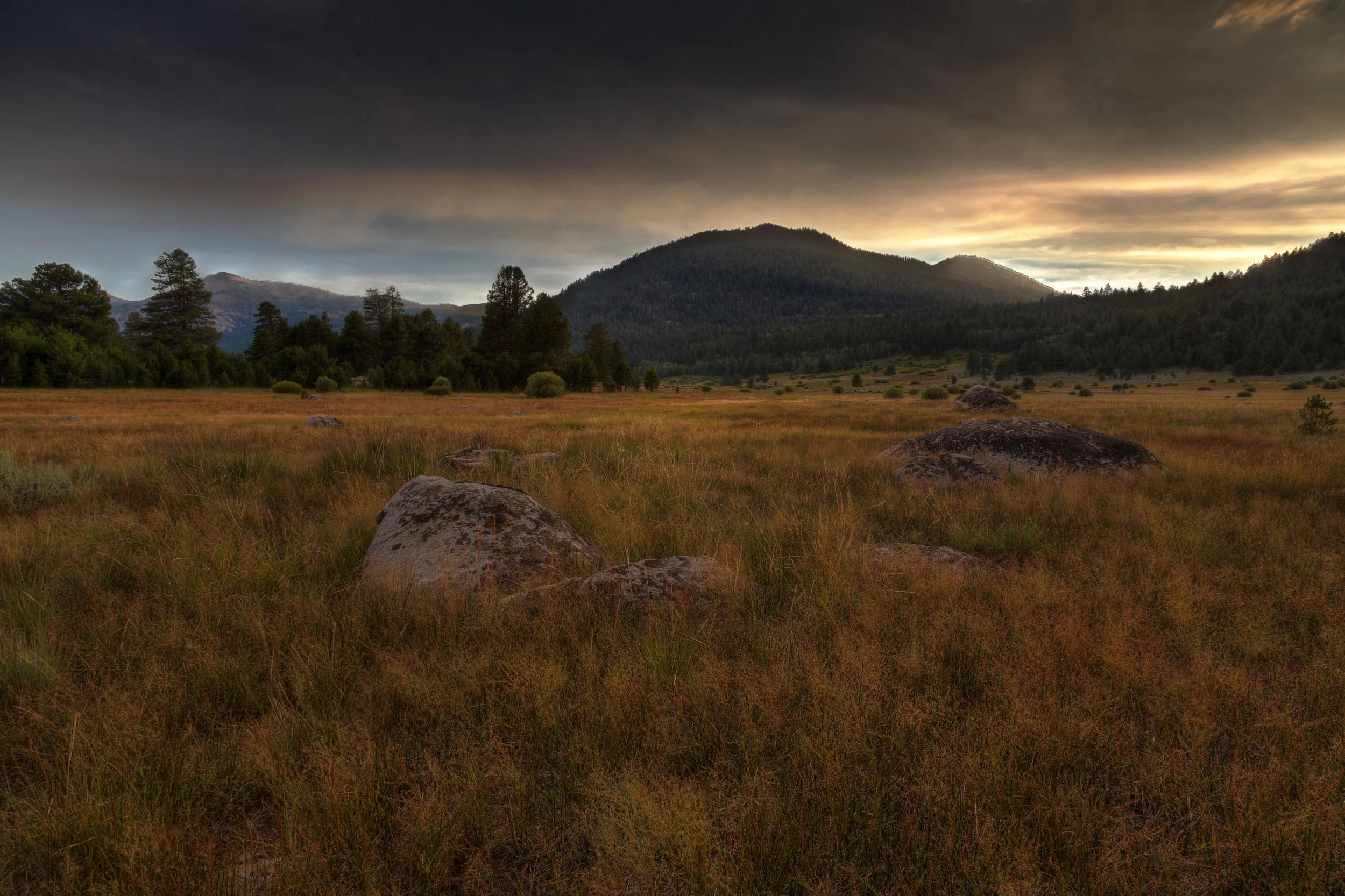 Photo: Hope Valley, California