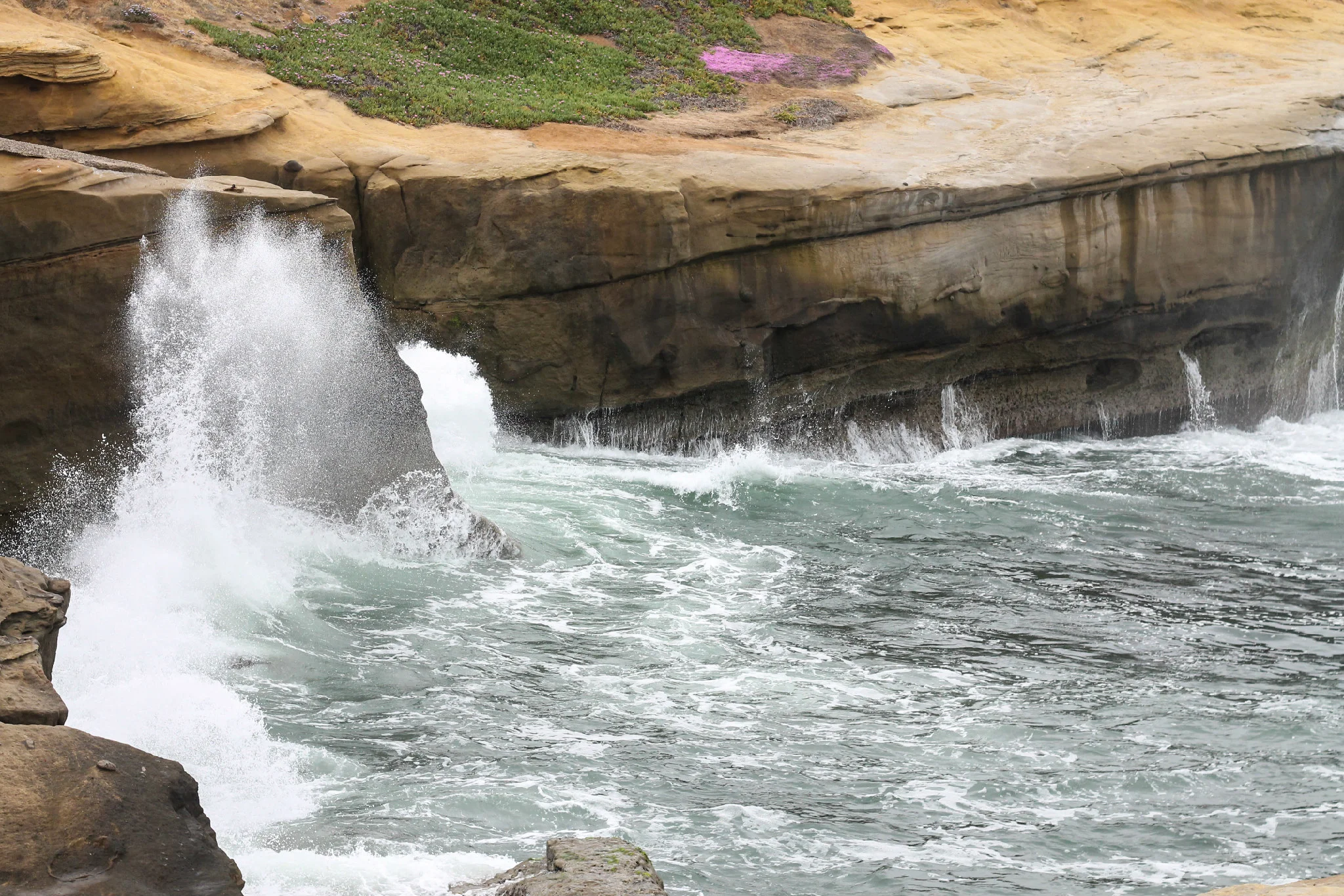 Photo: Sunset Cliffs, California