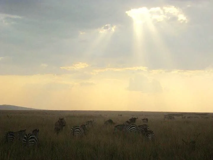 Photo: Masai Mara, Kenya
