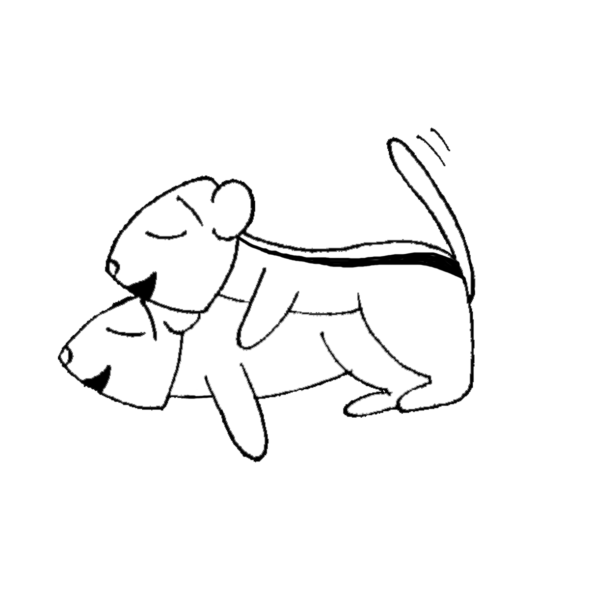 NU Sex Week: We Ain't Nothin' But Mammals