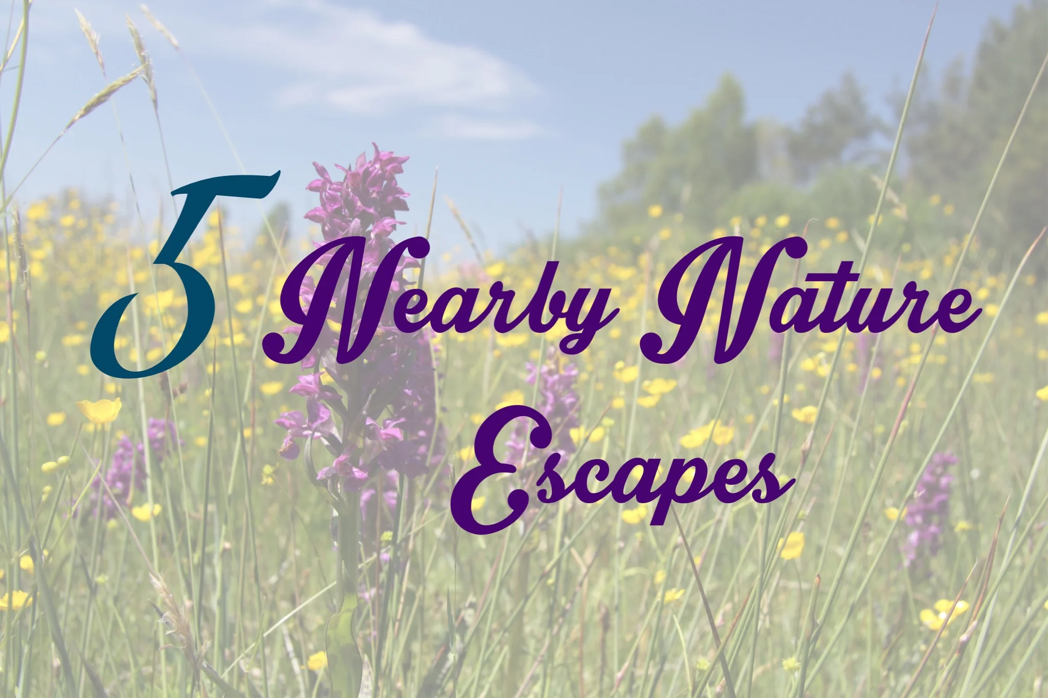 Five Nearby Nature Escapes