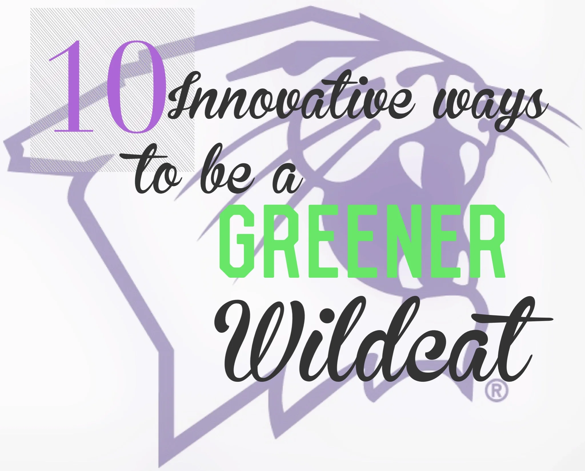 Ten Innovative Ways to be a Greener Wildcat