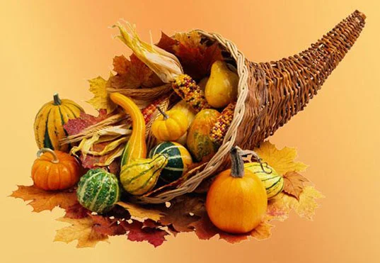 How to Make Your Thanksgiving More Sustainable