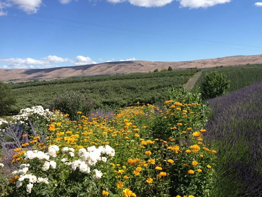 PHOTO OF THE WEEK: Yakima, Washington