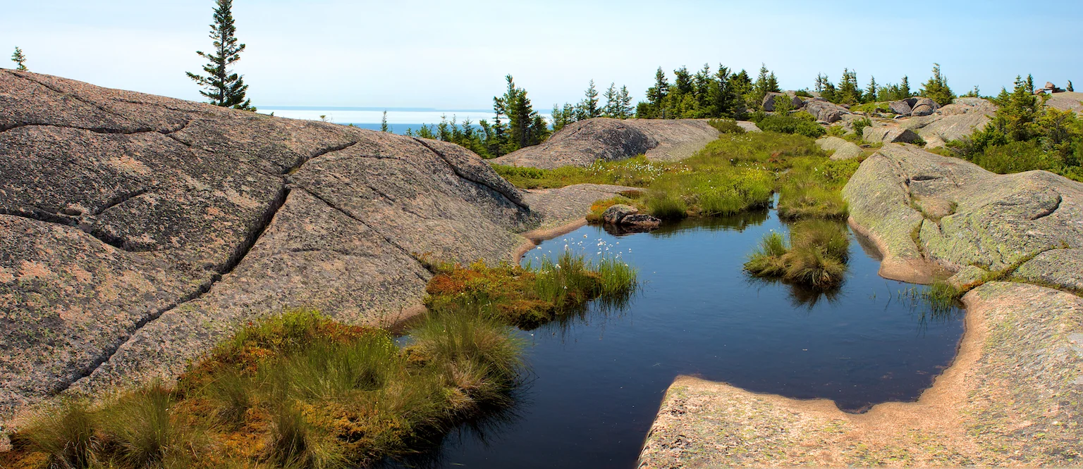 Photo: Acadia National Park
