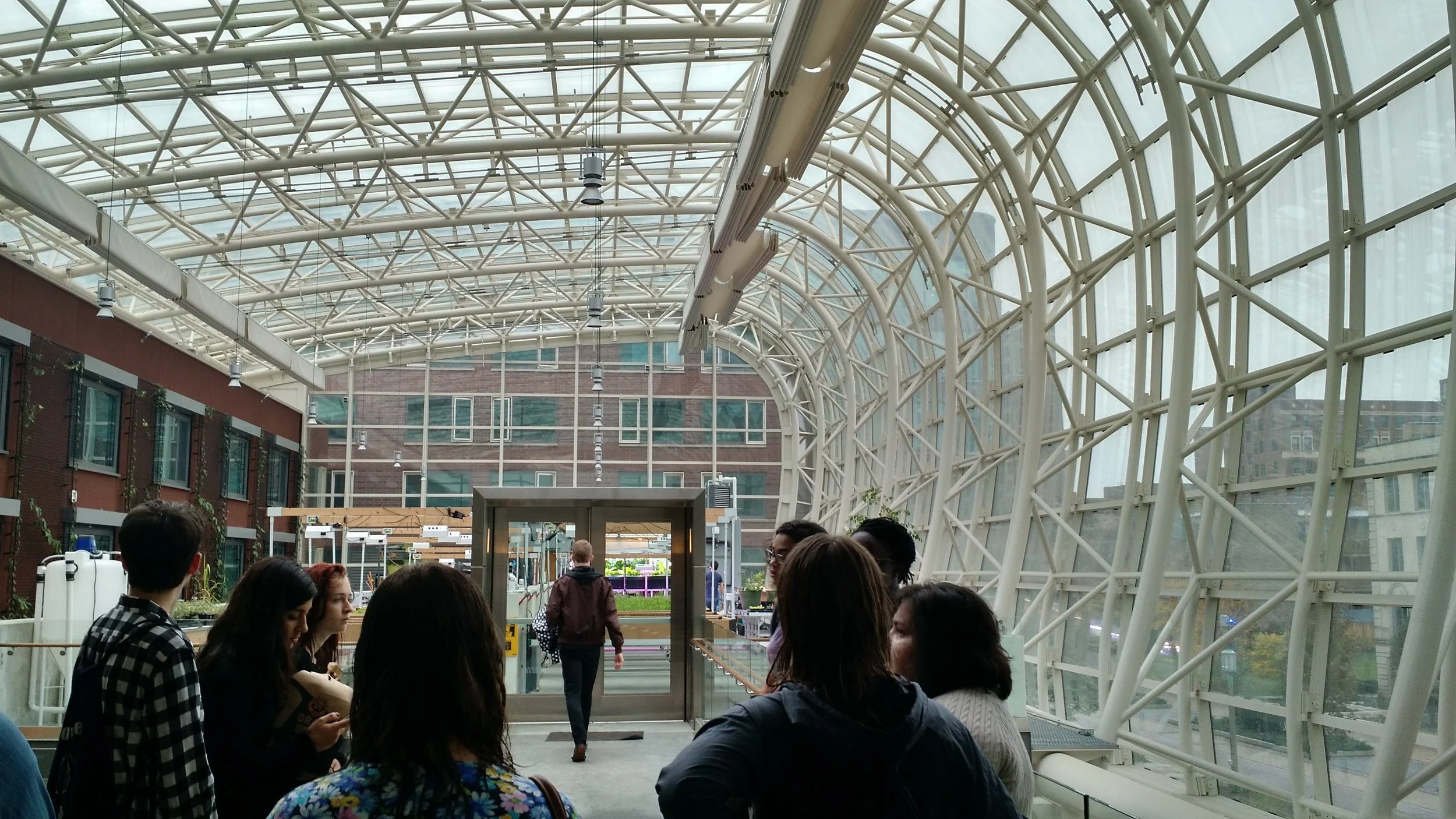 Loyola shows NU students how to go green or go home